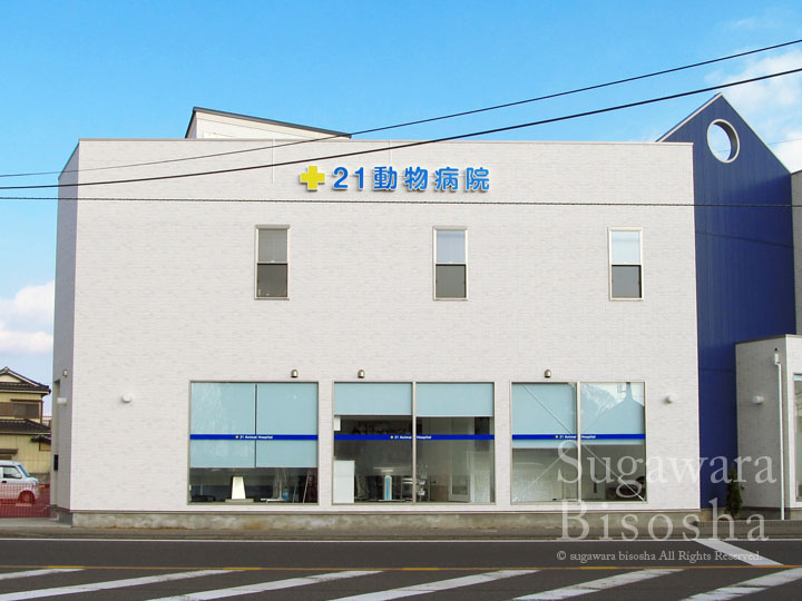 21動物病院 様 LED表面発光文字 施工実績5 21動物病院 様 LED表面発光文字 施工実績5