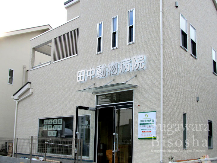 動物病院 様　LEDバックライト文字　施工実績2