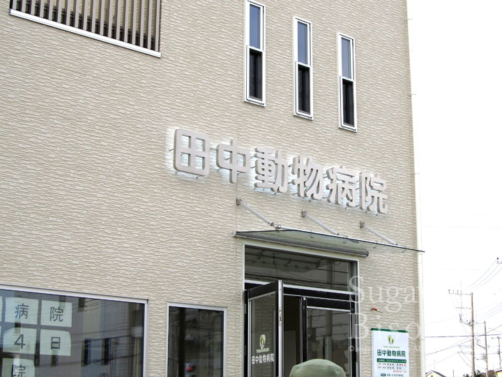 動物病院 様　LEDバックライト文字　施工実績3